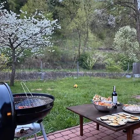 Hébergement de vacances Drewniany W Pieninach *